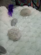 whatsapp image 2026-02-01 at 06.52.24 7